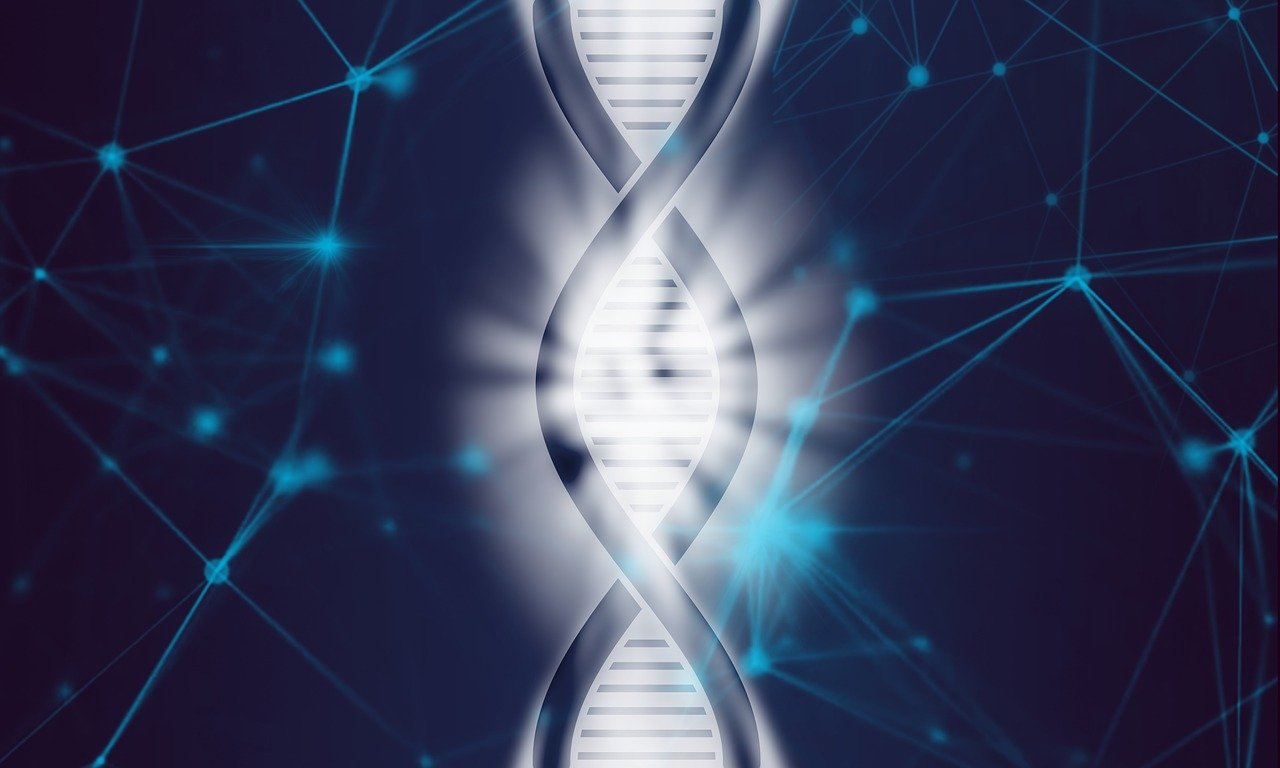 DNA: Τι συνδέει τον Μπετόβεν με τον Ελβις Πρίσλεϊ και τον Αβραάμ Λίνκολν;