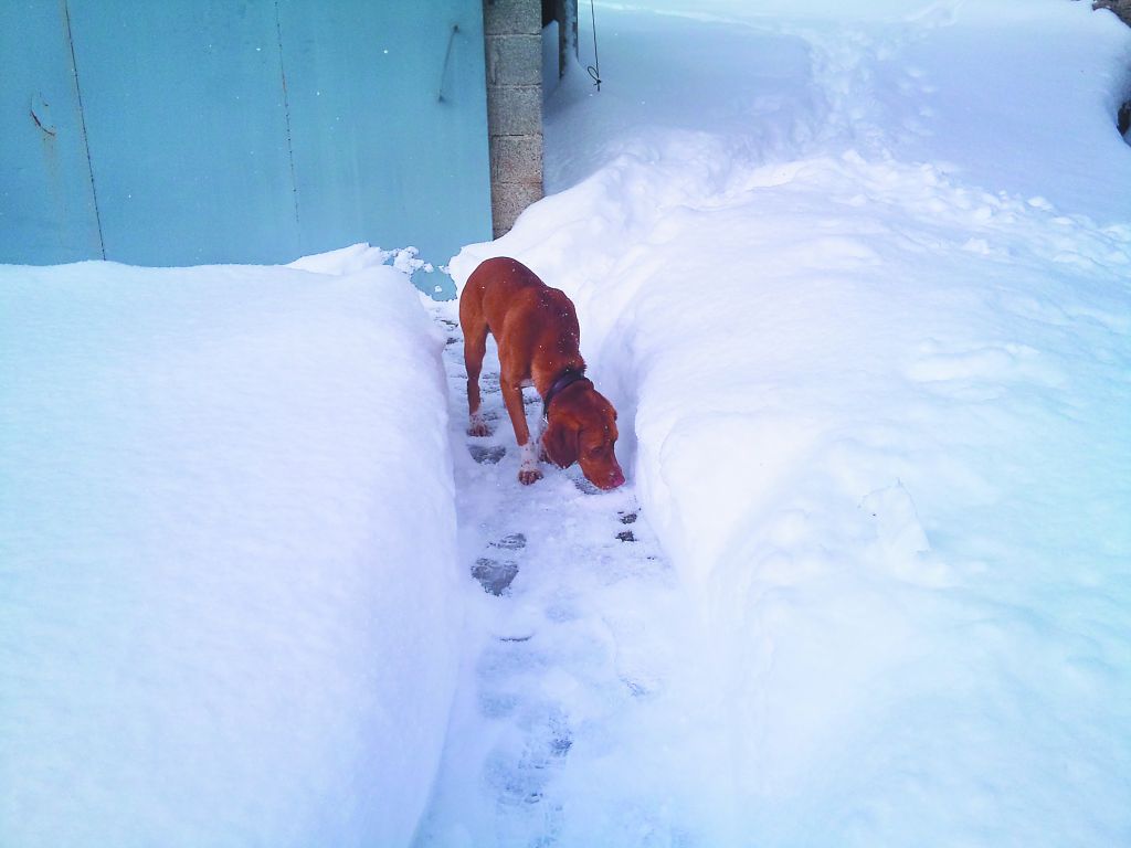 It’s not political, it’s just personal