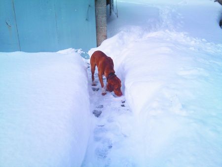 It’s not political, it’s just personal