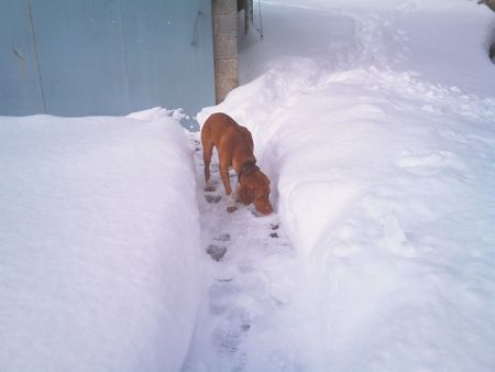 It’s not political, it’s just personal