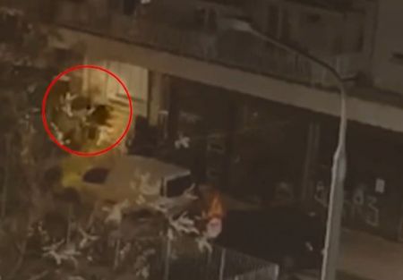 Θεσσαλονίκη: Πώς το «τάγμα εφόδου» δολοφόνησε τον Άλκη – Έτσι σχεδίασαν την επίθεση – Ήθελαν να κάνουν κακό