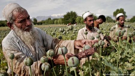 Οι Ταλιμπάν δεν σταματούν τους εμπόρους ναρκωτικών