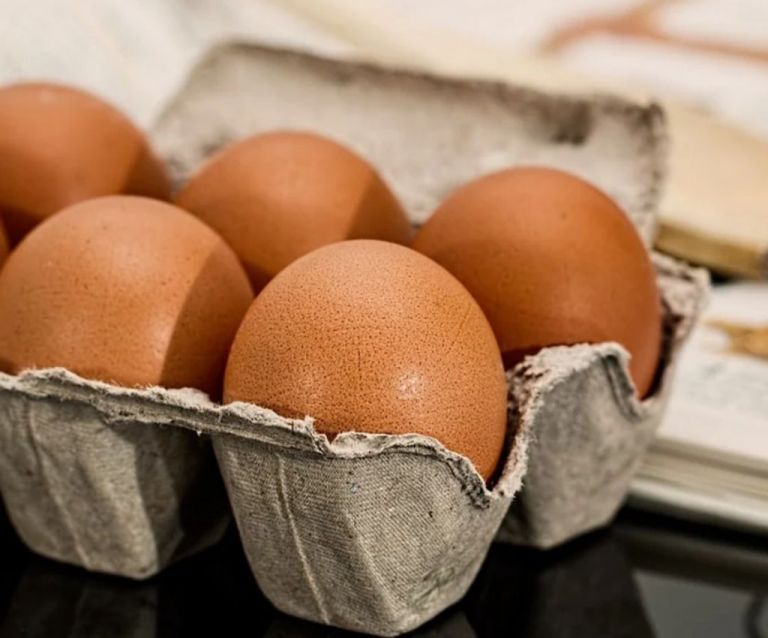 Συναγερμός στην Ευρώπη: Ξέσπασμα σαλμονέλας από αυγά – Τι ισχύει στην Ελλάδα | tovima.gr