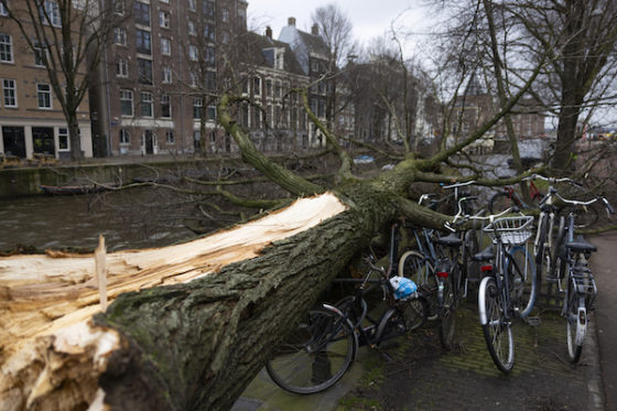 Ολλανδία: Τρεις νεκροί από το πέρασμα της καταιγίδας «Γιούνις» | tovima.gr