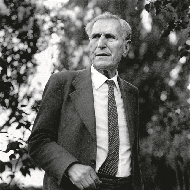 Περιπλάνηση και ρίζωμα