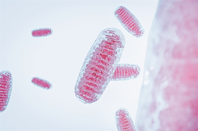 Φως στο ενεργειακό ισοζύγιο μακροζωίας