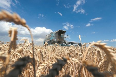 Ο πόλεμος φέρνειεπισιτιστική κρίση