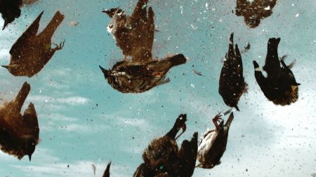 Η Τζάνις Ραφαηλίδου πάει Αrsenale