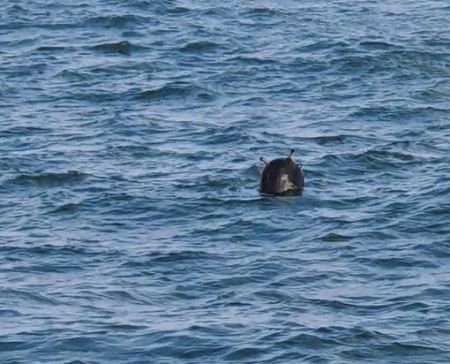 Τουρκία: Μία νάρκη έκλεισε τα στενά του Βοσπόρου