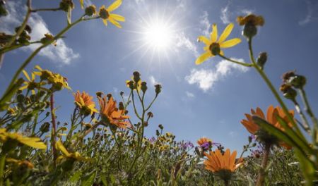 Καιρός: Έως τους 19 βαθμούς η θερμοκρασία