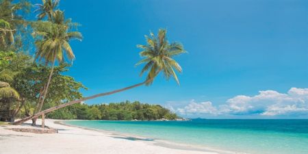 Μαθηματικά και ελευθερίες