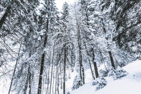 Το ελβετικό τοπίο μετά μουσικής