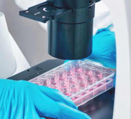 Λίγο πριν το τέρμα «κόπηκαν» έρευνες για καρκίνο και σπάνιες παθήσεις