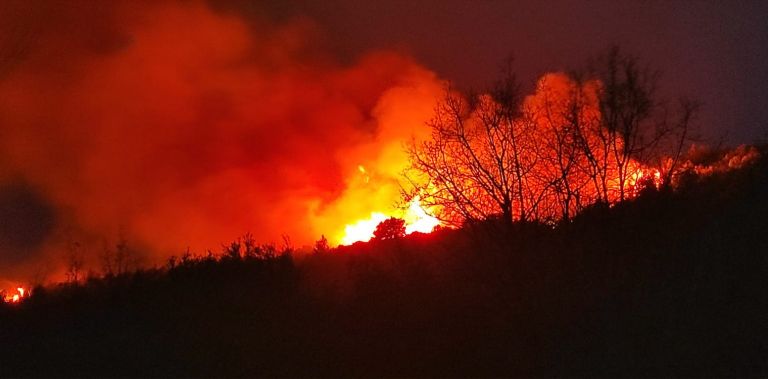 Ηλεία: Καίγεται δασική έκταση στην περιοχή Λιβαδάκι | tovima.gr