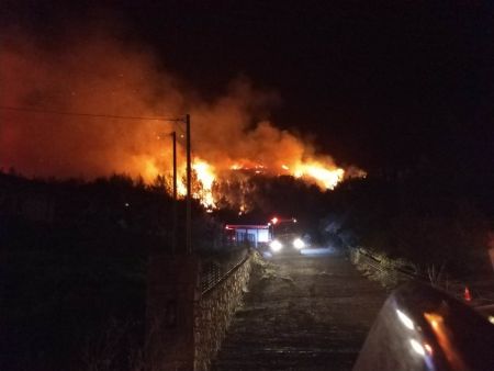 Φωτιά στην Ηλεία: Εκκενώθηκε οικισμός – Καίγεται αναγεννημένο και συμπαγές δάσος