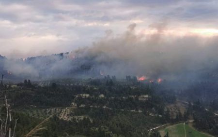 Χαλκιδική: Εκτός ελέγχου η φωτιά – Ενισχύονται οι δυνάμεις της πυροσβεστικής