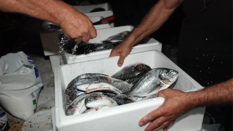 Οι Τουρκία απειλεί και τα ελληνικά… ψάρια