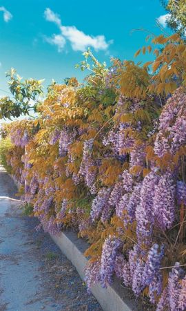 Πασχαλινά αγροτικά