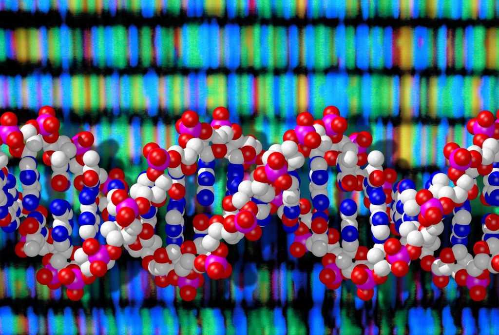 Ανοιχτά δεδομένα
