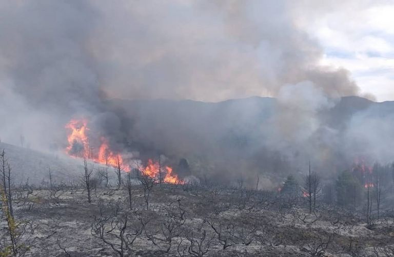 Φωτιά στον Πάρνωνα: Ολονύχτια μάχη με τις φλόγες – Συνεχίζεται η προσπάθεια κατάσβεσης | tovima.gr