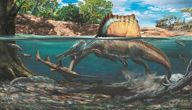 Δεινόσαυροι του γλυκού νερού