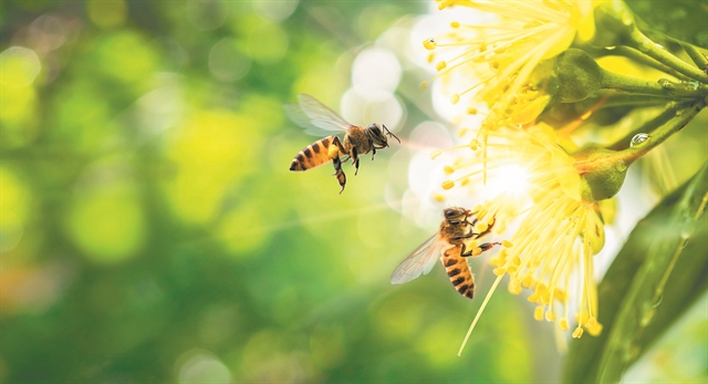 Ιπτάμενο… DNA αποκαλύπτει τη βιοποικιλότητα