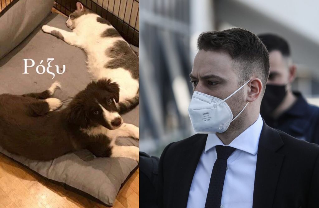 Μπάμπης Αναγνωστόπουλος: Σκέφτηκα να παρουσιάσω σκηνικό ληστείας, για να το πιστέψουν κρέμασα τον σκύλο