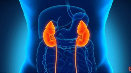 Κορωνοϊός: Είναι ασφαλής η μεταμόσχευση νεφρών από άτομα που έχουν νοσήσει;