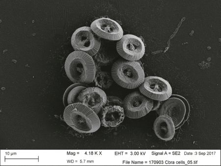 Το περιβάλλον ως «γλύπτης» κρυστάλλων