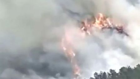 Κίνα: Σκόπιμη η συντριβή του Boeing 737 με τους 132 επιβάτες τον Μάρτιο