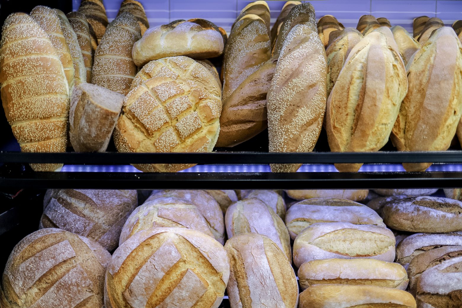 Σιτηρά: Η αύξηση στις τιμές τους ακριβαίνει και το ψωμί