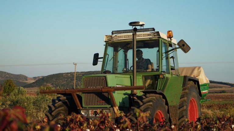 ΕΕ: «Πράσινο» φως για την έκτακτη ενίσχυση αγροτών έως 15.000 ευρώ | tovima.gr
