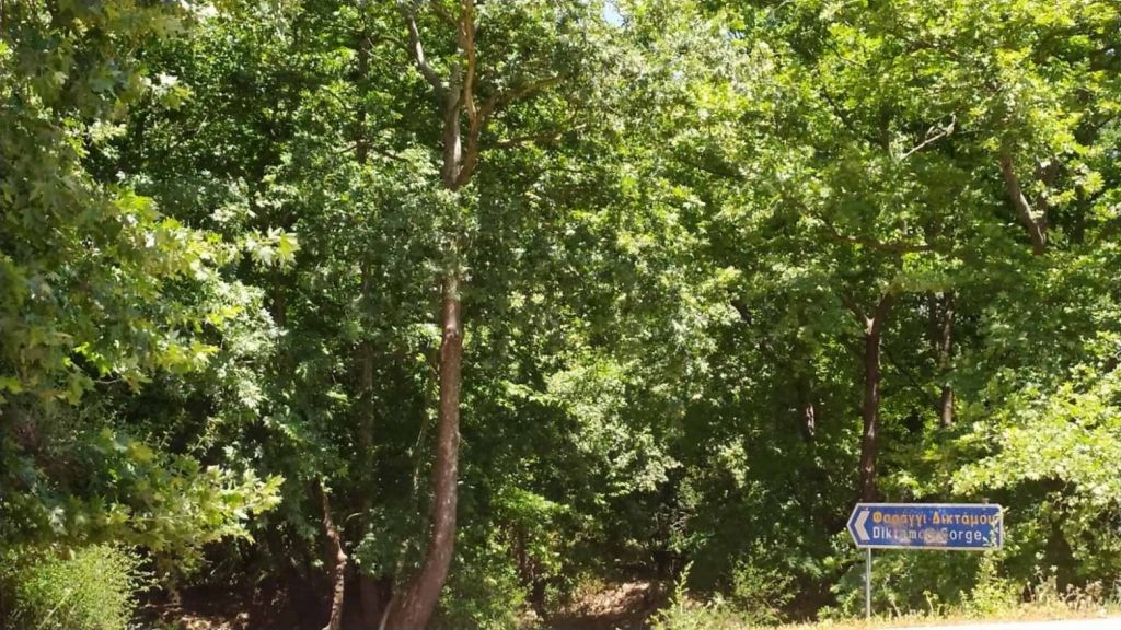 150 κιλά απορρίμματα σε φαράγγι της Κρήτης