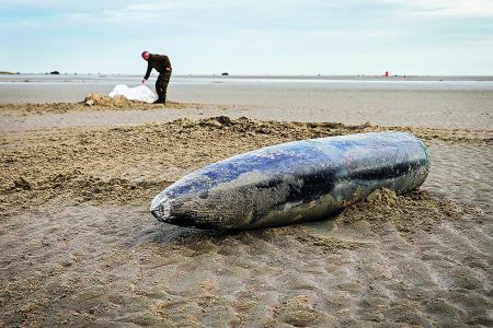 To περιβάλλον θύμα πολέμου
