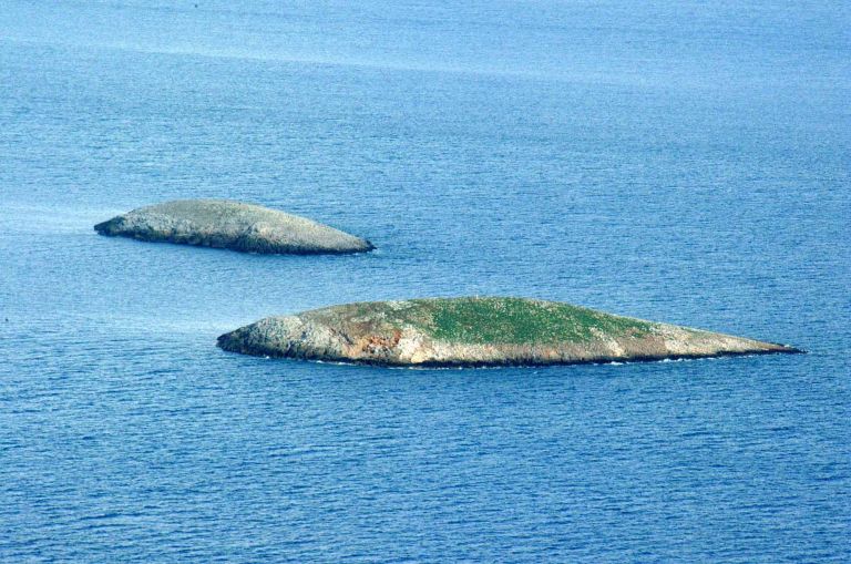 Τουρκική ακταιωρός παραβίασε τα ελληνικά χωρικά ύδατα κοντά στα Ίμια | tovima.gr
