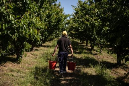 «Κανένας κίνδυνος επισιτιστικής κρίσης στην Ελλάδα» – Τι λέει ο Γεωργαντάς