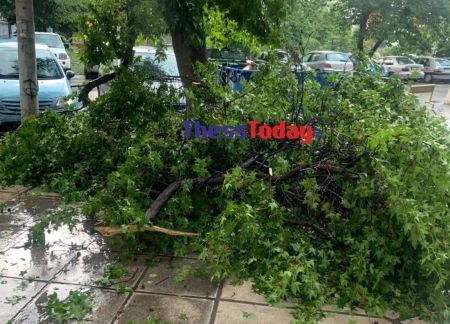 Θεσσαλονίκη: Προβλήματα από το ξαφνικό μπουρίνι – 100 κλήσεις στην Πυροσβεστική