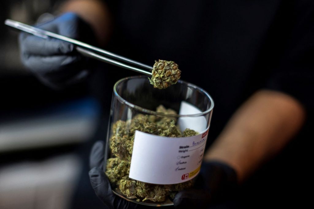 Γερμανία: Εντός του έτους η νομιμοποίηση κάνναβης