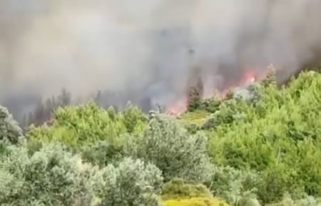 Φωτιά στην Εύβοια: Εκκενώνεται προληπτικά το χωριό Κρεμαστός – Ενισχύονται οι πυροσβεστικές δυνάμεις