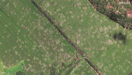 Αντιπερισπασμός στη Σιβηρία