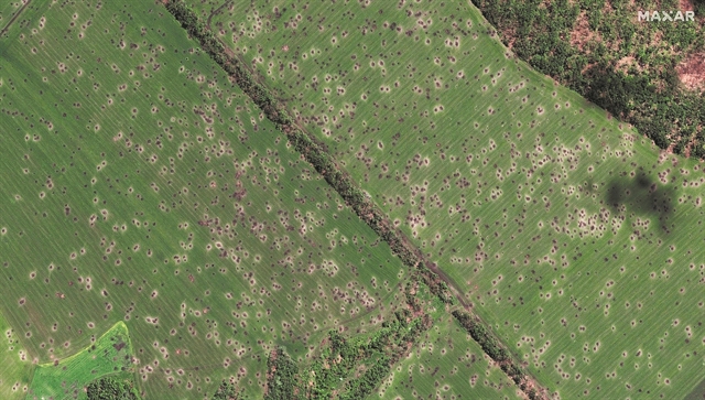 Αντιπερισπασμός στη Σιβηρία