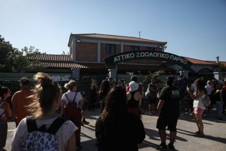 Αττικό Ζωολογικό Πάρκο: Παρέμβαση του υπουργείου Περιβάλλοντος για τη θανάτωση του χιμπατζή