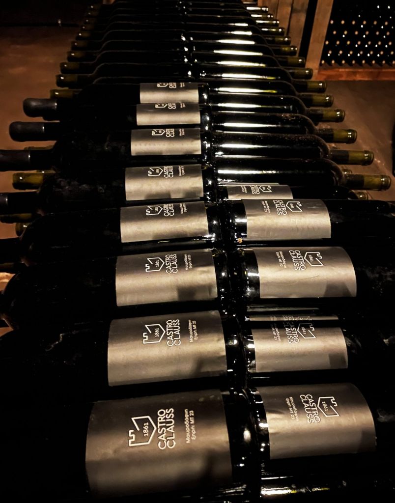 ΜΤ 23: Η ιδιαίτερη μαυροδάφνη που κλείνει μέσα της τη μοναδική οινοποιητική παράδοση της Αχαΐας