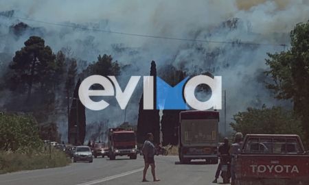 Φωτιά στην Εύβοια: Καίγεται δασική έκταση στο Αλιβέρι – Κοντά σε κατοικημένη περιοχή