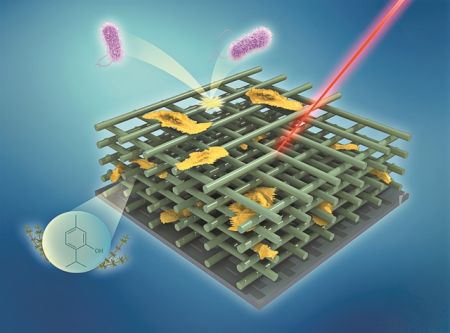 Βιοϋλικά ΜΕ ελληνικά βότανα