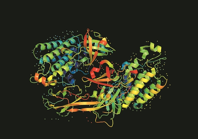 Ντόροθι Χότζκινμια ζωή στις επάλξεις