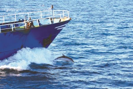 «Ας οικοδομήσουμε μαζί μια Ευρώπη της θάλασσας»