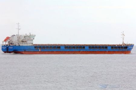 Τουρκία: Οι τελωνειακές αρχές κατάσχεσαν ρωσικό πλοίο που μετέφερε σιτηρά από την Ουκρανία