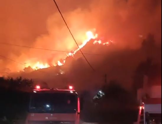 Ηλεία: Δύσκολη νύχτα για πυροσβέστες και κατοίκους – Εκκενώθηκαν τέσσερις οικισμοί | tovima.gr