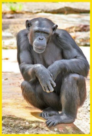 Όνομα- καπιταλισμός